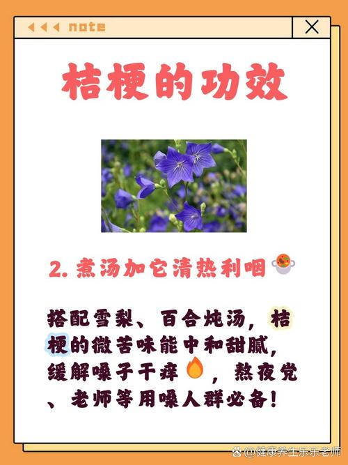 桔梗的功效，桔梗泡水喝的功效，桔梗的攻效？-第4张图片-优品飞百科