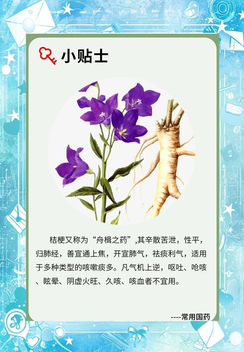 桔梗的功效，桔梗泡水喝的功效，桔梗的攻效？-第5张图片-优品飞百科