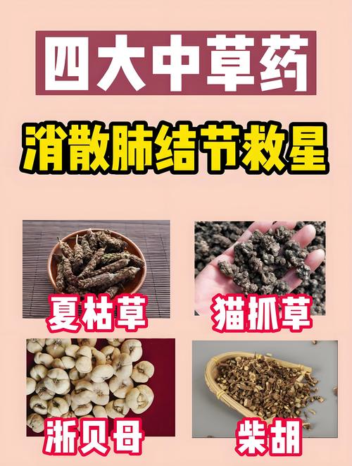 狗肝菜的功效与作用,狗肝菜的功效与作用和主治与用量-第1张图片-优品飞百科 狗肝菜的功效与作用,狗肝菜的功效与作用和主治与用量-第1张图片-优品飞百科