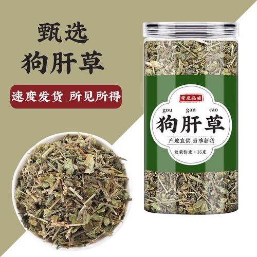 狗肝菜的功效与作用,狗肝菜的功效与作用和主治与用量-第5张图片-优品飞百科 狗肝菜的功效与作用,狗肝菜的功效与作用和主治与用量-第5张图片-优品飞百科