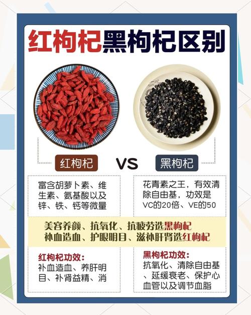 黑枸杞和红枸杞的区别，黑枸杞和红枸杞哪个好，黑枸杞和红枸杞哪个功效好一点-第2张图片-优品飞百科