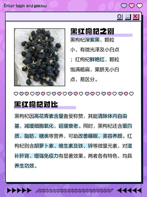 黑枸杞和红枸杞的区别，黑枸杞和红枸杞哪个好，黑枸杞和红枸杞哪个功效好一点-第6张图片-优品飞百科
