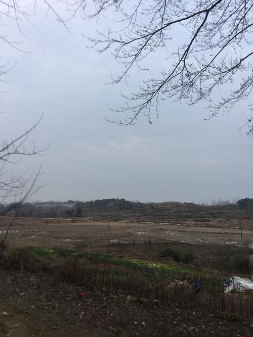 湖北黄冈蕲春天气预报，湖北黄冈蕲春天气预报30天？-第4张图片-优品飞百科