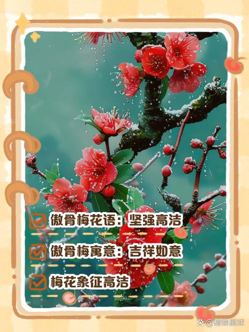 梅花的寓意，梅花代表什么？梅花有什么寓意和象征？-第1张图片-优品飞百科