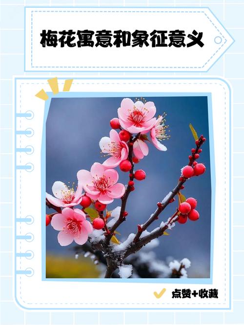 梅花的寓意，梅花代表什么？梅花有什么寓意和象征？-第4张图片-优品飞百科