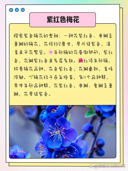 梅花的寓意，梅花代表什么？梅花有什么寓意和象征？-第5张图片-优品飞百科
