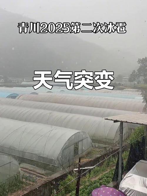 广元青川天气预报，广元青川天气预报7天准确？-第3张图片-优品飞百科