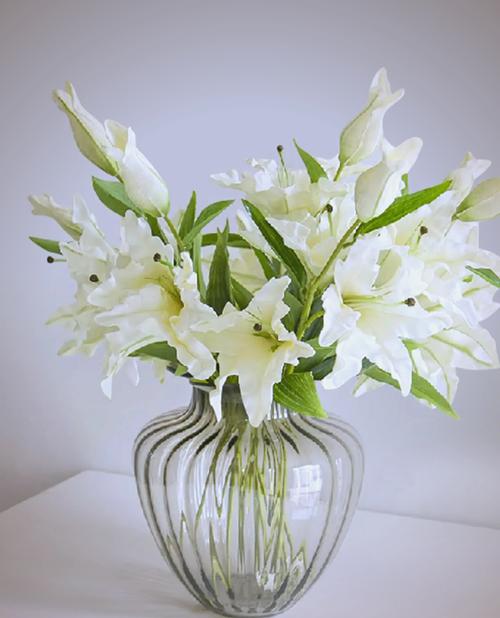 香水百合适合放室内吗，香水百合放室内好还是室外好-第3张图片-优品飞百科
