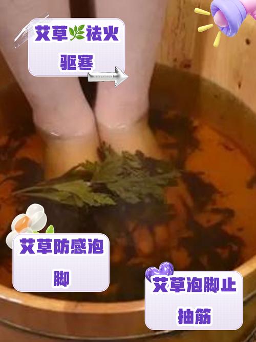 艾草泡脚的功效，艾草泡脚的禁忌，艾草泡脚的用处是什么？-第7张图片-优品飞百科
