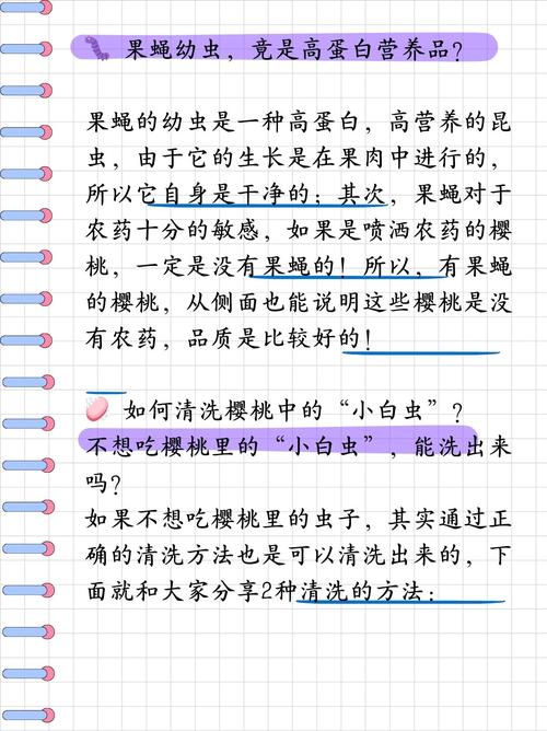 樱桃里面有虫能吃吗，樱桃里有虫子吃了对身体有害吗-第6张图片-优品飞百科