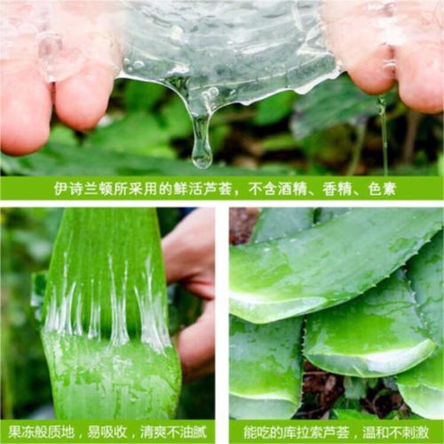 芦荟怎样祛斑，芦荟可以治痘痘吗，芦荟祛斑吗怎么用芦荟祛斑？-第2张图片-优品飞百科