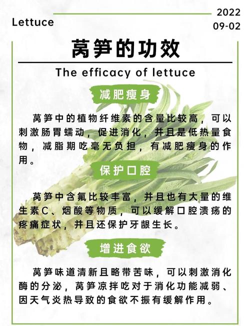 莴苣的功效与作用禁忌？莴苣的功效和营养？-第1张图片-优品飞百科