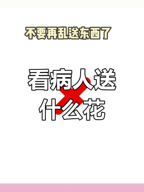 探病可以送什么花，探病送什么花给长辈？-第1张图片-优品飞百科