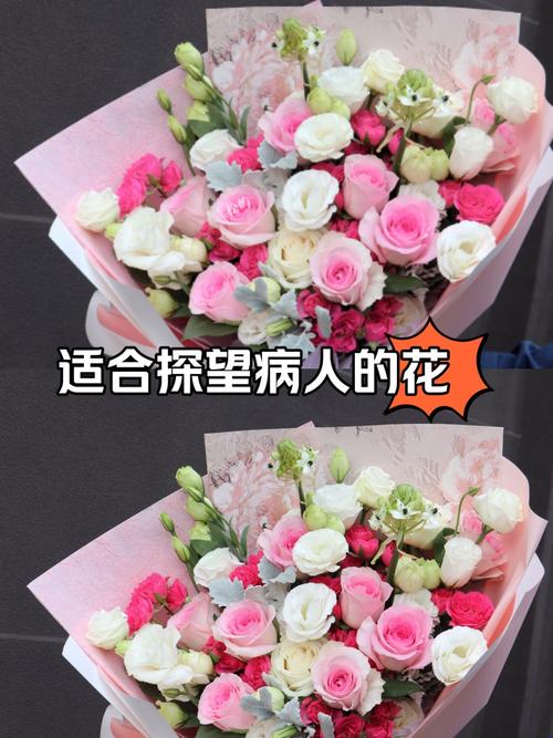 探病可以送什么花，探病送什么花给长辈？-第6张图片-优品飞百科