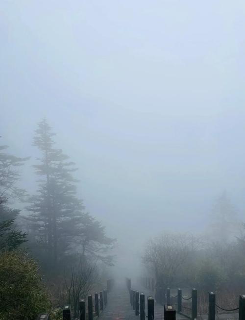 天气预报神农架？天气预报神农架天气预报15天？-第1张图片-优品飞百科