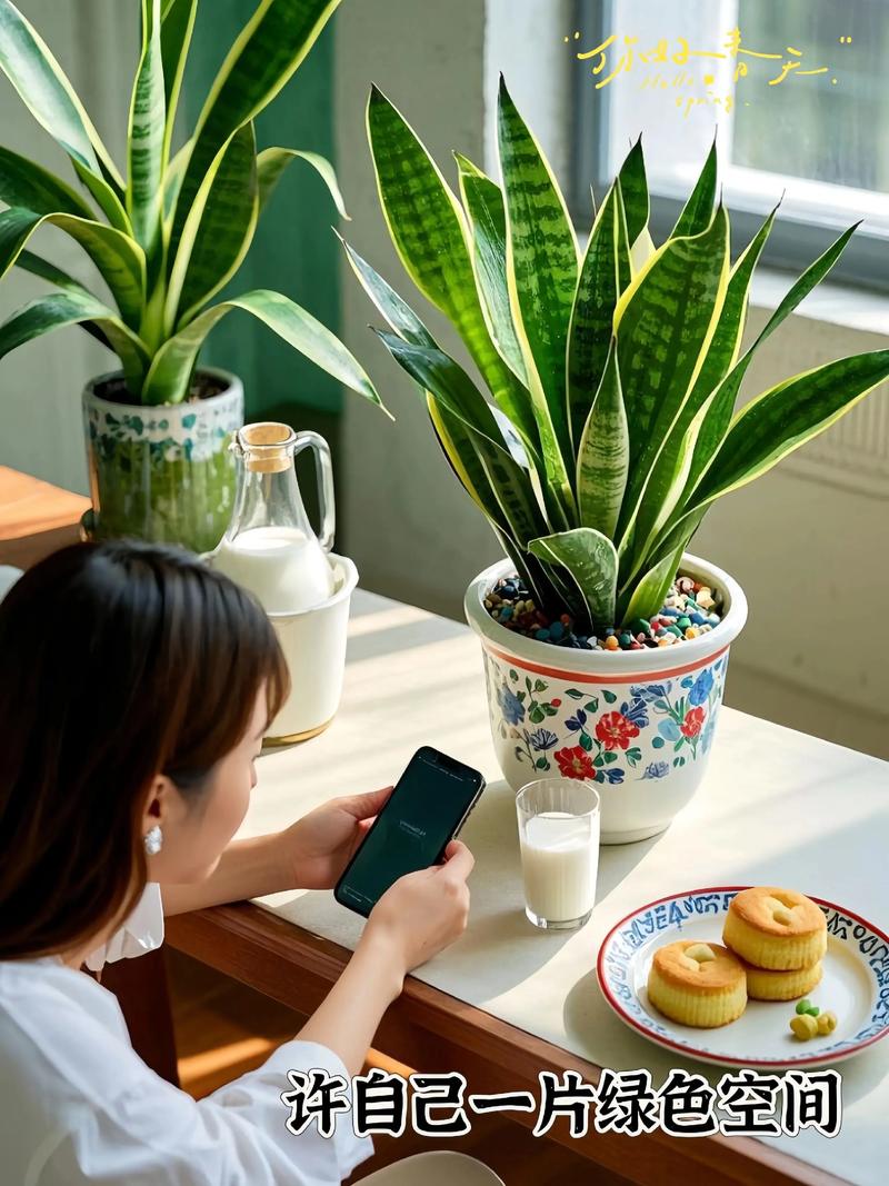 虎皮兰有什么作用,能除甲醛吗?虎皮兰去甲醛吗\虎皮兰?-第5张图片-优品飞百科 虎皮兰有什么作用,能除甲醛吗?虎皮兰去甲醛吗\虎皮兰?-第5张图片-优品飞百科