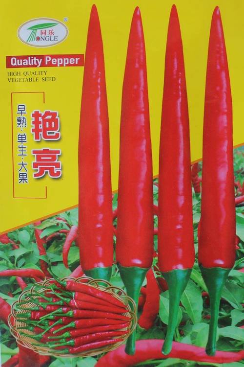 朝天椒的品种分类？朝天椒什么品种比较好产量比较高？-第5张图片-优品飞百科