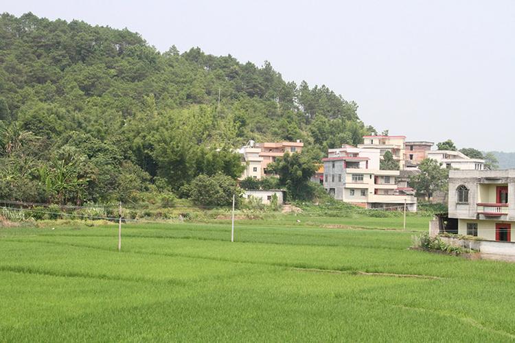 福绵天气预报?福绵天气预报7天气?-第4张图片-优品飞百科 福绵天气预报?福绵天气预报7天气?-第4张图片-优品飞百科