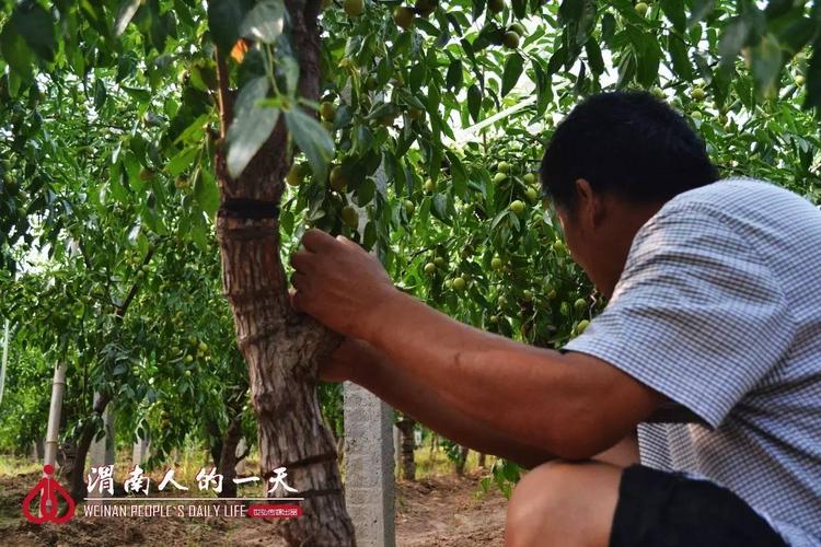 淳化天气预报15天?淳化天气预报15天查询百度一?-第6张图片-优品飞百科 淳化天气预报15天?淳化天气预报15天查询百度一?-第6张图片-优品飞百科