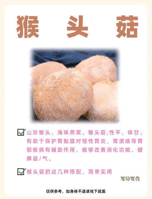 猴头菇怎么吃，吃猴头菇的禁忌，猴头菇食用方法-第2张图片-优品飞百科