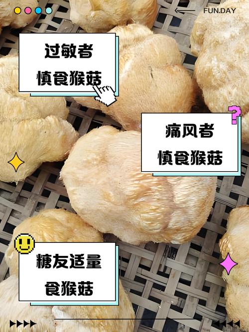 猴头菇怎么吃，吃猴头菇的禁忌，猴头菇食用方法-第6张图片-优品飞百科