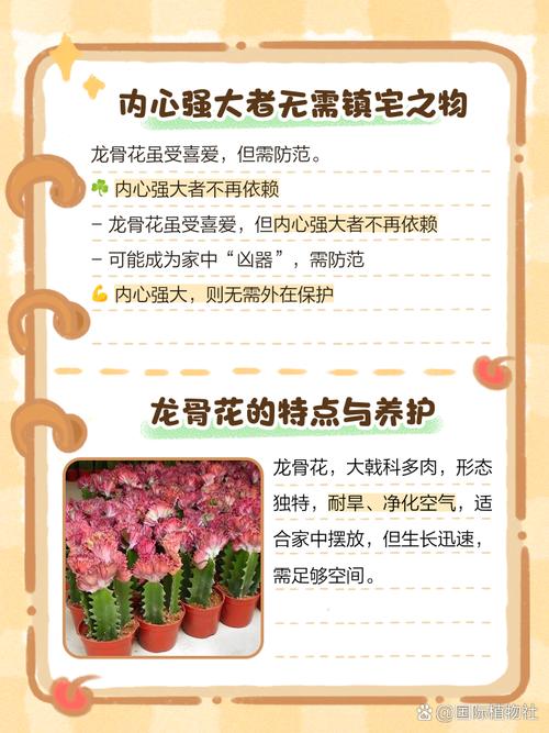 这些花老年人不要养,家里有一棵就很危险!,老人养的花-第1张图片-优品飞百科 这些花老年人不要养,家里有一棵就很危险!,老人养的花-第1张图片-优品飞百科