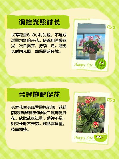 这些花老年人不要养,家里有一棵就很危险!,老人养的花-第2张图片-优品飞百科 这些花老年人不要养,家里有一棵就很危险!,老人养的花-第2张图片-优品飞百科