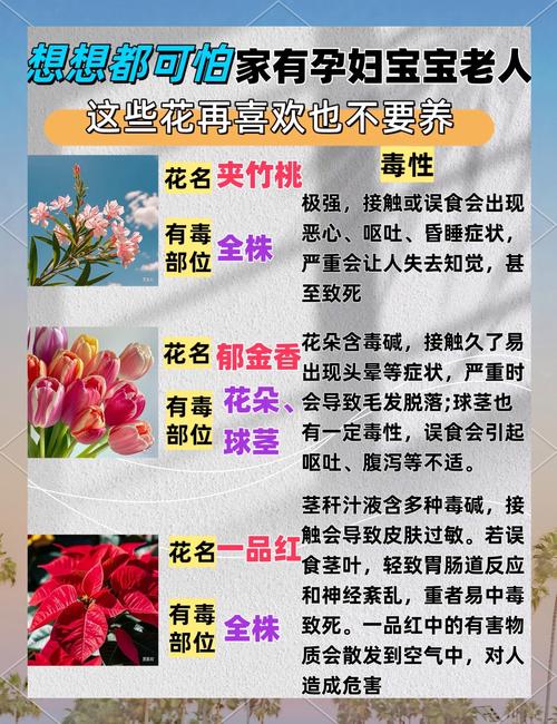 这些花老年人不要养,家里有一棵就很危险!,老人养的花-第5张图片-优品飞百科 这些花老年人不要养,家里有一棵就很危险!,老人养的花-第5张图片-优品飞百科