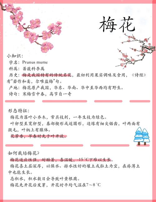 梅花什么时候开花,梅花在什么季节开放,梅花在什么季节开放呢?-第4张图片-优品飞百科 梅花什么时候开花,梅花在什么季节开放,梅花在什么季节开放呢?-第4张图片-优品飞百科