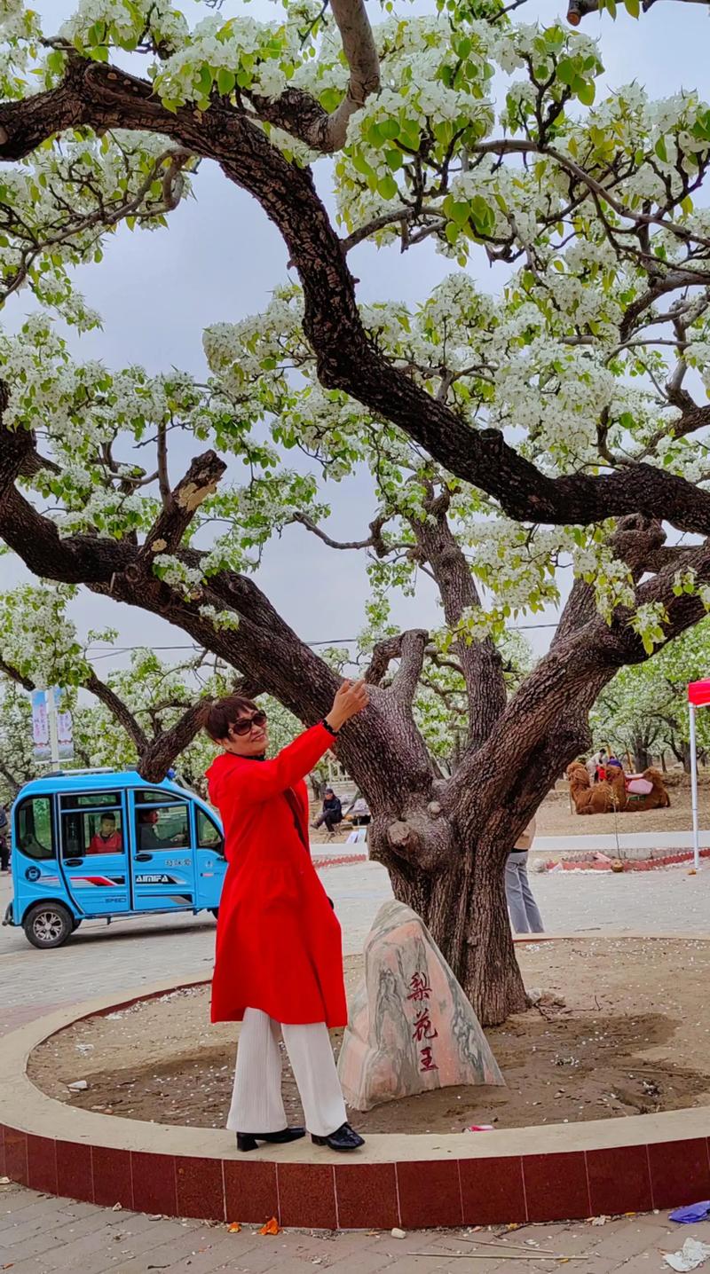 北京房山窦店天气预报天气，窦庄天气预报？-第3张图片-优品飞百科