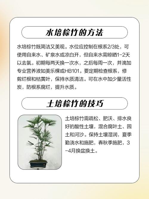 矮棕竹的养殖方法和注意事项，矮棕怎么养？-第3张图片-优品飞百科