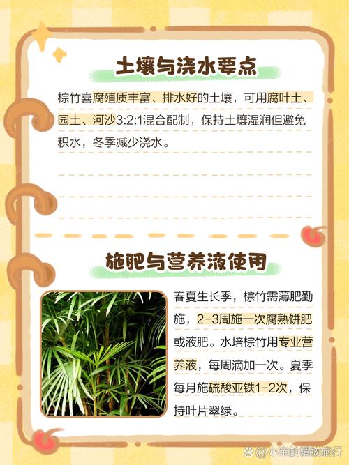 矮棕竹的养殖方法和注意事项，矮棕怎么养？-第4张图片-优品飞百科