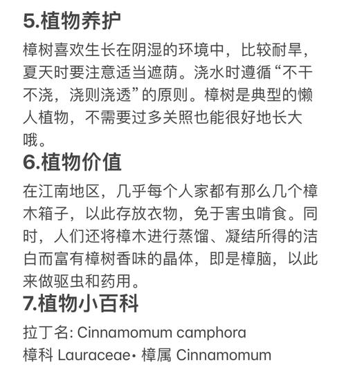 樟树的作用？樟树的作用和危害？-第2张图片-优品飞百科