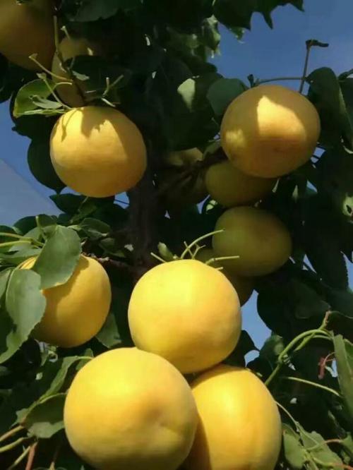 平川区天气预报,平川区天气预报30天天气情况?-第4张图片-优品飞百科 平川区天气预报,平川区天气预报30天天气情况?-第4张图片-优品飞百科