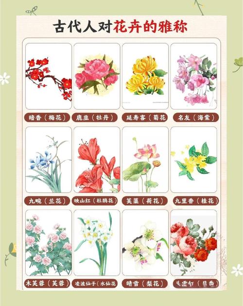 古代花名雅称，古代花的雅称大全-第3张图片-优品飞百科