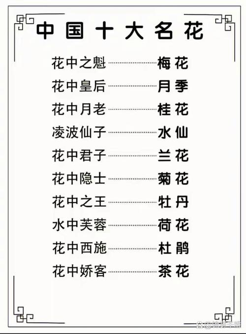 古代花名雅称，古代花的雅称大全-第4张图片-优品飞百科