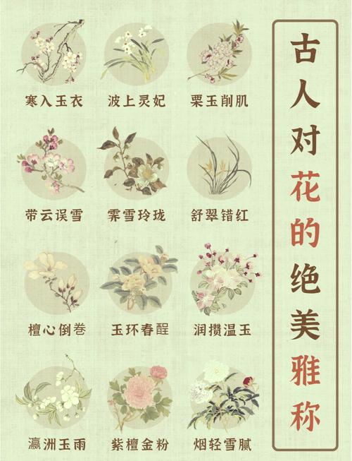 古代花名雅称，古代花的雅称大全-第5张图片-优品飞百科