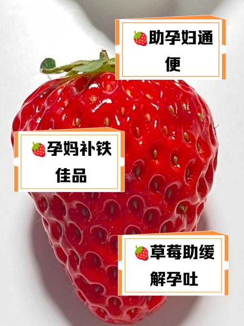 草莓的功效与作用,孕妇可以吃草莓吗?草莓孕妇可以吃嘛?-第4张图片-优品飞百科 草莓的功效与作用,孕妇可以吃草莓吗?草莓孕妇可以吃嘛?-第4张图片-优品飞百科