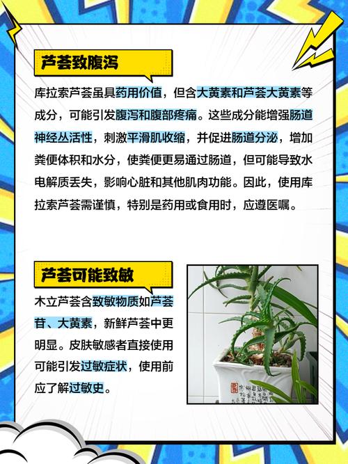 芦荟能放在客厅吗，芦荟能放在客厅吗有毒吗-第7张图片-优品飞百科