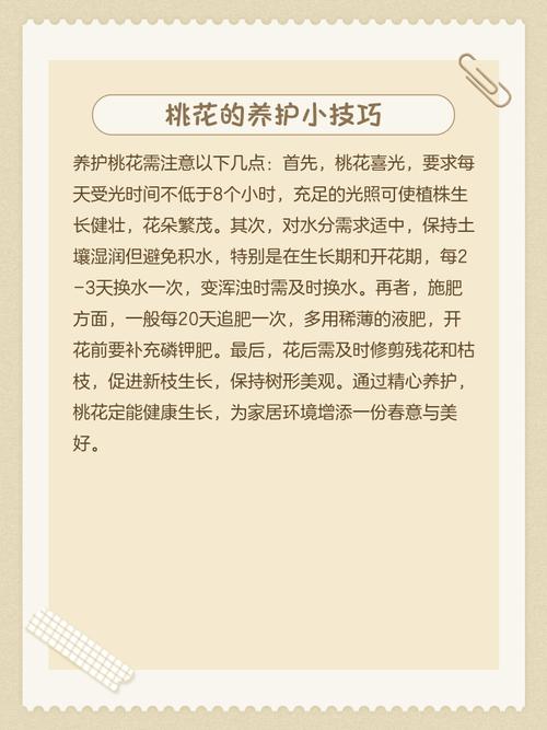 桃花的功效与作用,醉仙桃花的功效与作用?-第5张图片-优品飞百科 桃花的功效与作用,醉仙桃花的功效与作用?-第5张图片-优品飞百科