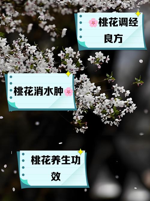 桃花的功效与作用,醉仙桃花的功效与作用?-第7张图片-优品飞百科 桃花的功效与作用,醉仙桃花的功效与作用?-第7张图片-优品飞百科