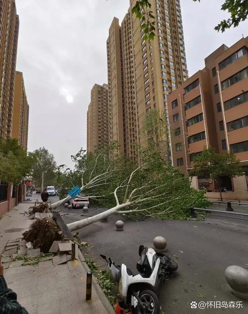 郑州市新密市天气预报，郑州市新密市天气预报一周？-第4张图片-优品飞百科