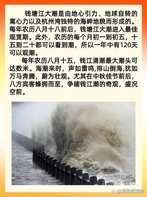 钱塘江的天气预报30天，浙江钱塘江天气预报一周-第4张图片-优品飞百科