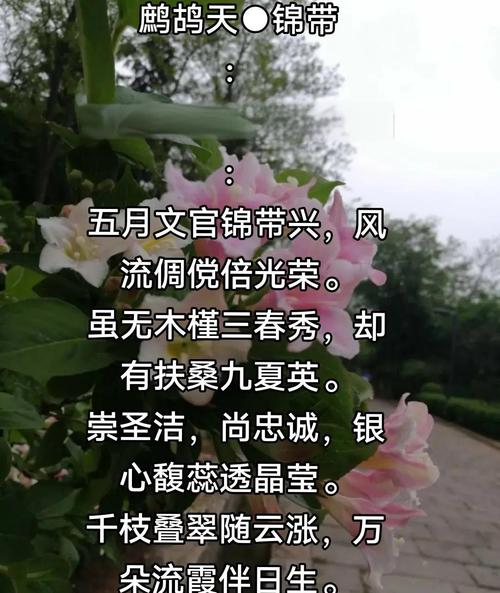 锦带花的花语和文化内涵，锦带花的花期有多久？-第5张图片-优品飞百科