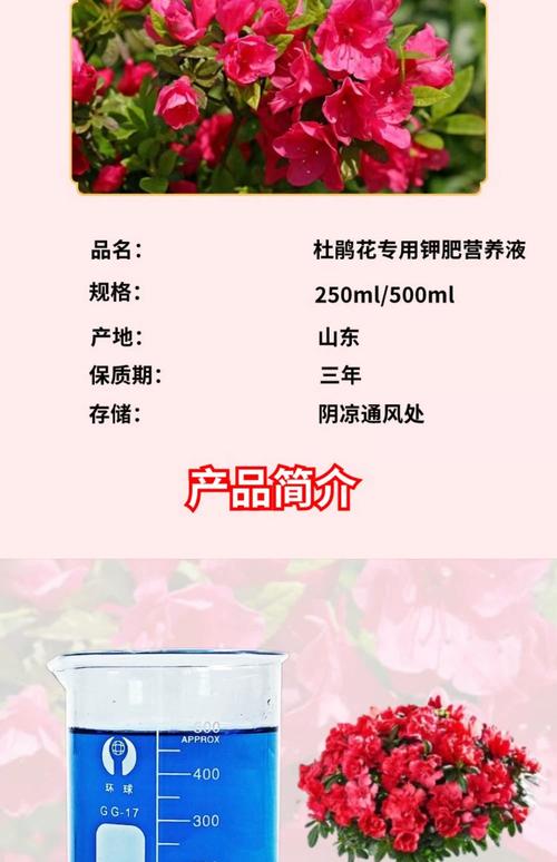 杜鹃开花期间施什么肥，能喷磷酸二氢钾吗？杜鹃开花时可以喷磷酸二氢钾吗？