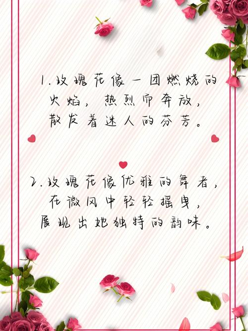 玫瑰花像什么，玫瑰花图片，玫瑰花像什么,玫瑰花图片怎么画？-第3张图片-优品飞百科