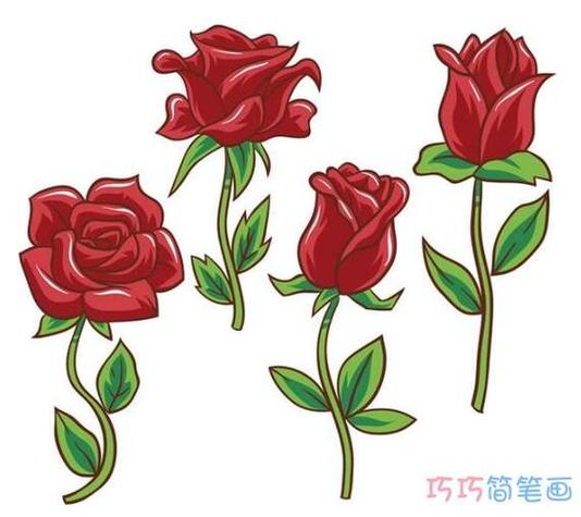 玫瑰花像什么，玫瑰花图片，玫瑰花像什么,玫瑰花图片怎么画？-第4张图片-优品飞百科