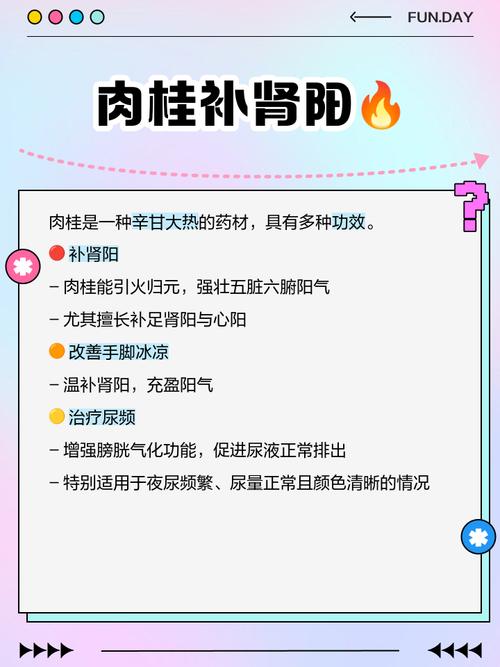 肉桂的药用价值？肉桂的主要功效和作用及禁忌？-第2张图片-优品飞百科