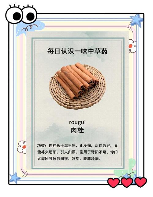 肉桂的药用价值？肉桂的主要功效和作用及禁忌？-第4张图片-优品飞百科