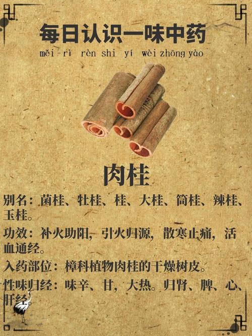 肉桂的药用价值？肉桂的主要功效和作用及禁忌？-第5张图片-优品飞百科